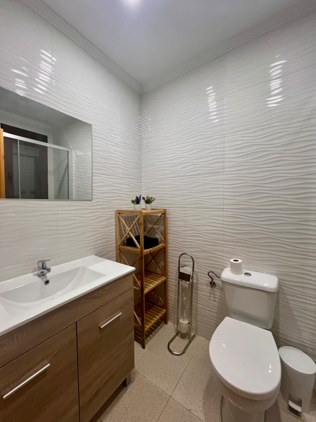 Un aseo con lavabo grande