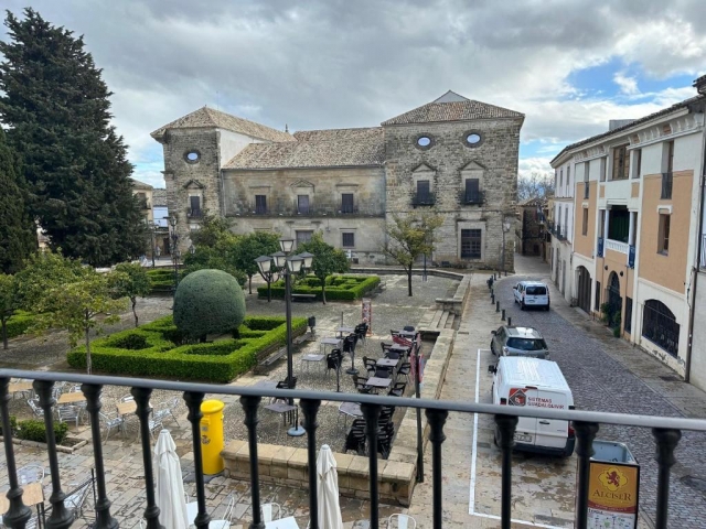 Amplias vistas del Palacio