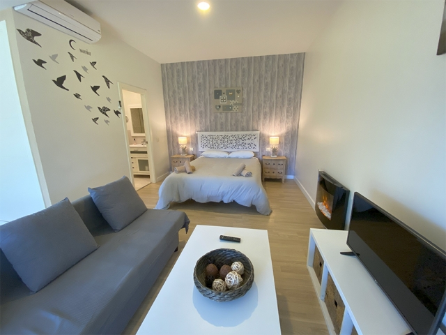 Salon y cama al fondo