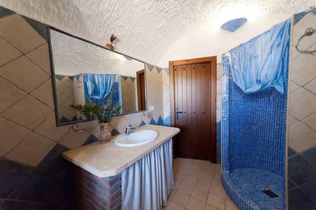 Un aseo azul con ducha