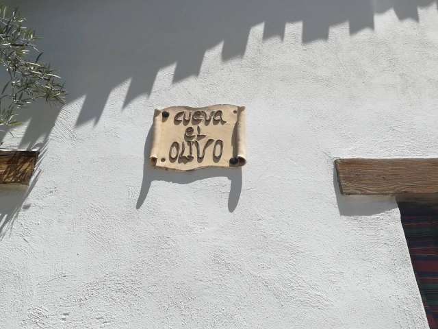 Vistas de los detalles 