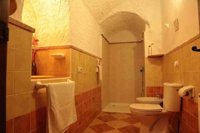 Un aseo con ducha al fondo