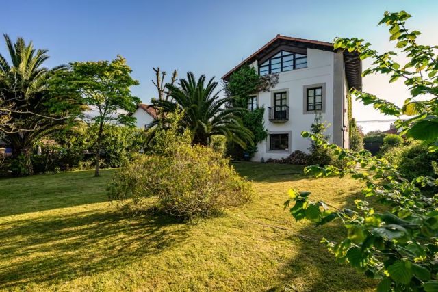 Amplio exterior verde