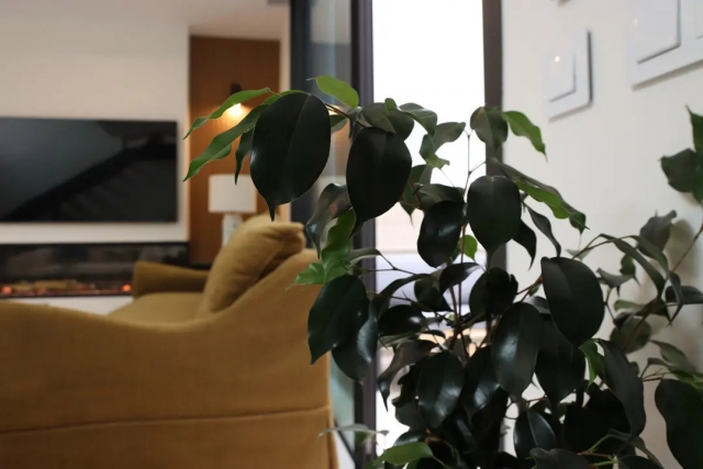 Sala amplia y detalles