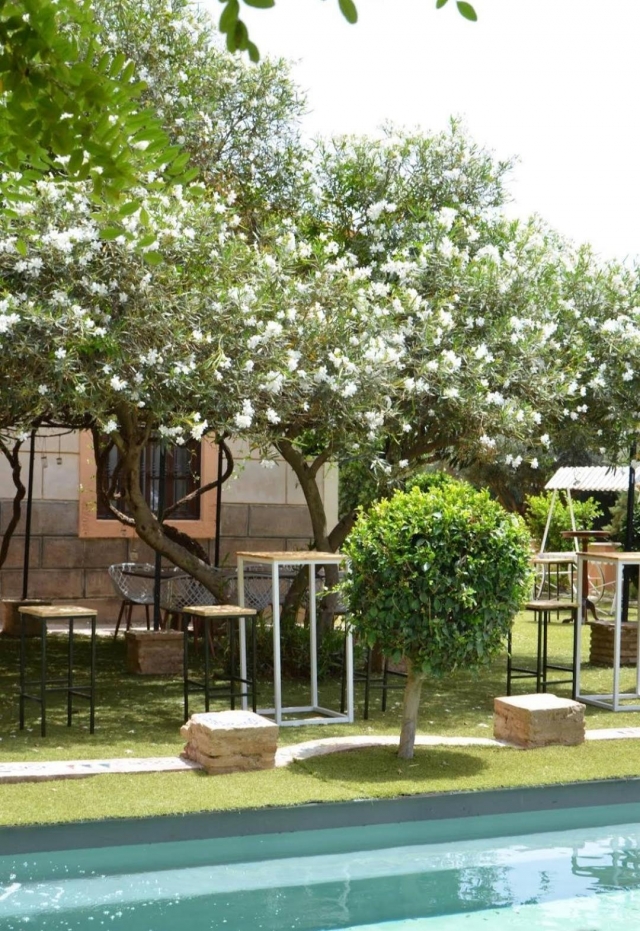 Finca Torre Antoñita