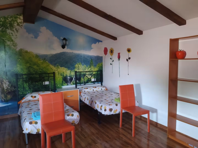 Dormitorio doble con vinilo 