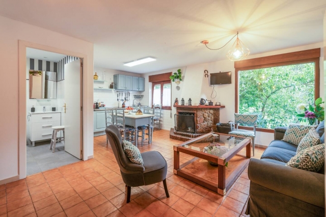 Sala con chimenea y cocina