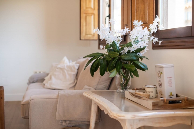 Sala amplia y sus detalles