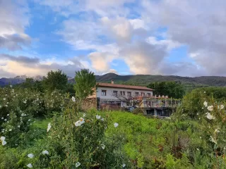 Retiros La Dama del Bosque