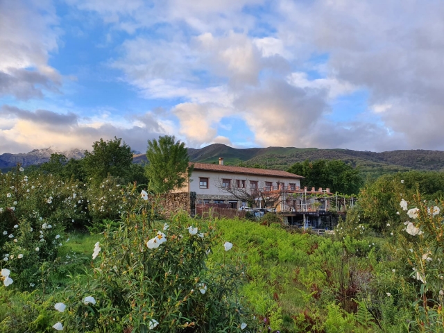 Retiros La Dama del Bosque