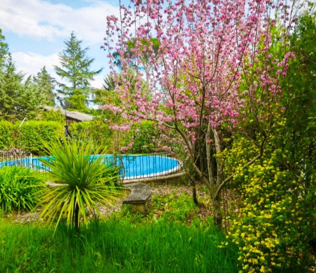 Amplia piscina de la casa