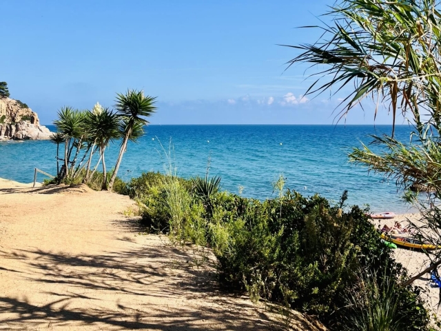 Zona de playas cercana