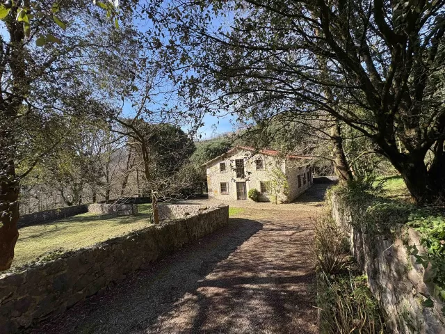 Casa Libélula