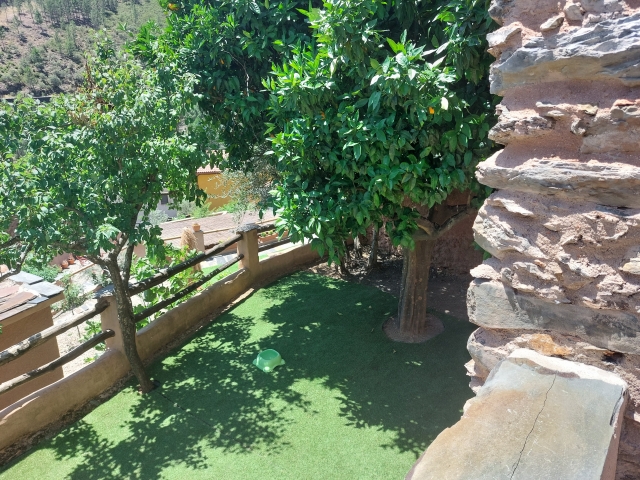 Vistas del patio