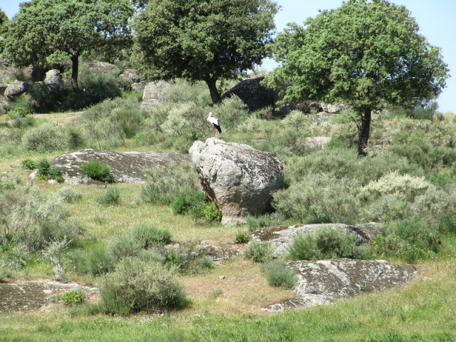 Paisajes de Caceres