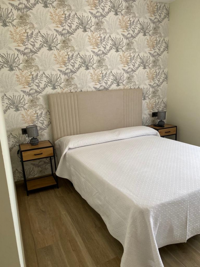 Deluxe con cama grande