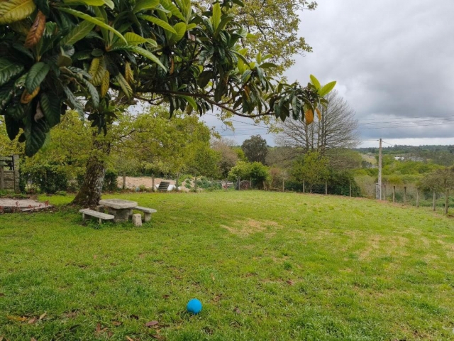 Amplios jardines de la casa