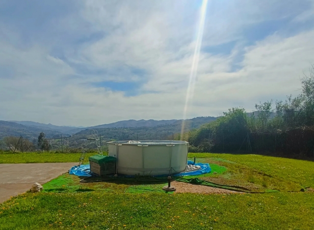 Vistas de la piscina