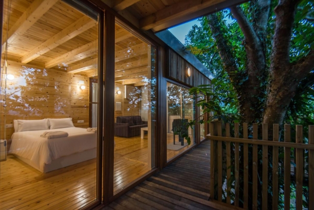 Areas cama con vistas