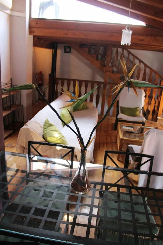Sala de estar con plantas