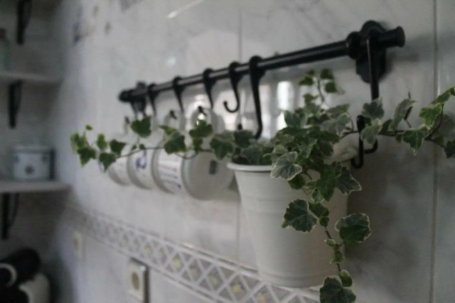 Cocina con detalles