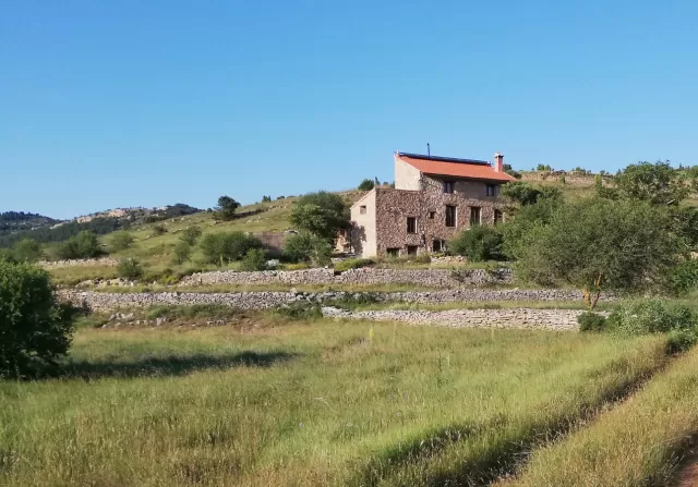 Mas de la Torreta