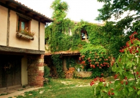 Zona exterior con abundante vegetación y fachada trasera