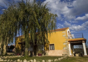 Árbol y casa con terraza