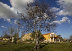 Camino y vivienda por la noche