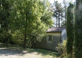  salón con chimenea 