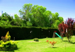 Rodeado de vegetación