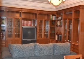 Salón con biblioteca