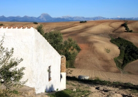 Sala con chimenea