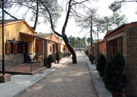 Camino entre las cabañas
