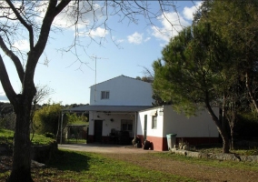 Chimenea de casa