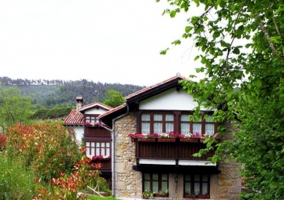 Fachada de madera con plantas