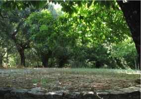 Campo en los alrededores