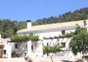 Casa y árbol