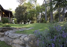 Jardín alrededor de la casa