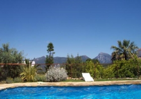 Piscina con plantas