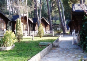 Bungalows de madera con jardines