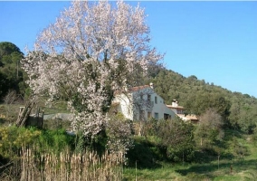 Fachada de la casa