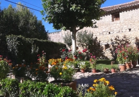 Vistas del jardín con plantas