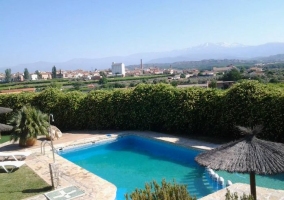 Vistas de la piscina con hamacas