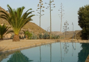 Vistas de la piscina