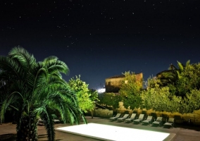 Piscina con palmera y tumbonas por la noche