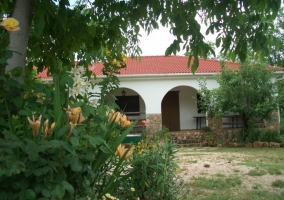 Salón chimenea