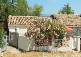  flores para la intimidad 