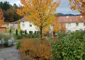 Flores y jardines junto a la casa