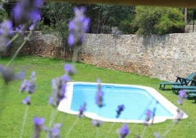 Piscina en el jardín de la casa